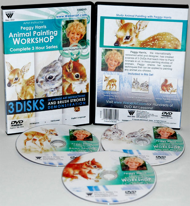 Peggy Harris's 3 Hour,3 DVDs Set of Animal Oil Painting  Fawn, Baby Jack Rabbits and Squirrel,( Includes 3351, 3352, and 3353)