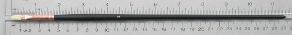 Chungking Hog Bristle 1300 Bright # 2 Brush: Full Length Shot with Rulers
