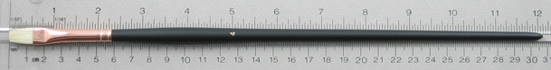 Chungking Hog Bristle 1300 Bright # 4 Brush: Full Length Shot with Rulers