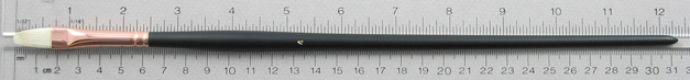 Chungking Hog Bristle 1310 Filbert # 4 Brush: Full Length Shot with Rulers