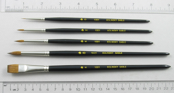 Introductory Set of 5 Kolinsky Sable Art Brushes: Full Length Shot with Rulers