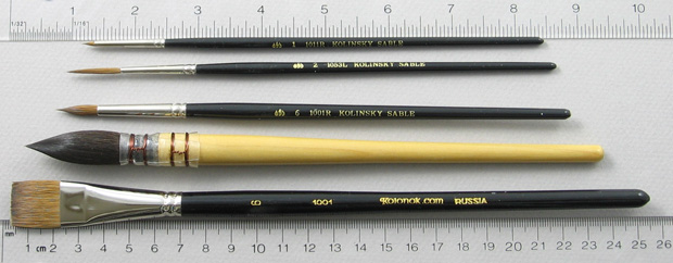 Aquarelle Set of 5 Art Brushes: Full Length Shot with Rulers