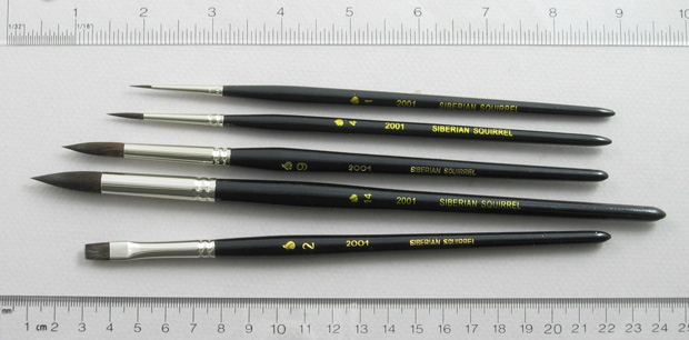 Siberian Squirrel Set of 5 Art Brushes Portrait: Full Length Shot with Rulers