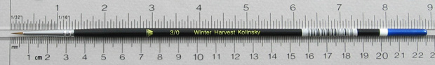 Winter Harvest Kolinsky Sable Long Hair Round # 3/0 Brush: Full Length Shot with Rulers