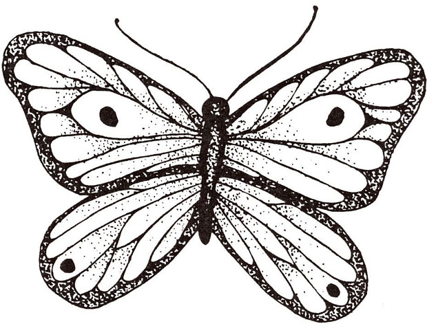 Sarasota Stamps Mounted Rubber Stamp: Butterfly Shaded Large