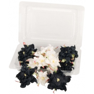 Blue Hills Studio Irene's Garden Box O'Gardenia: Black & White, 20 Pieces