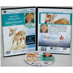 Peggy Harris's Getting Started In Animal Oil Painting Fawn DVD: 1 Hour