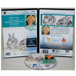 Peggy Harris's Animal Oil Painting Workshop, Intermediate Baby Jack Rabbits, DVD: (1 Hour)