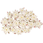 Blue Hills Studio Irene's Garden Box O'Gardenia: All White, 20 Pieces