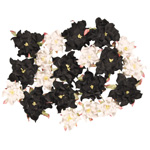 Blue Hills Studio Irene's Garden Box O'Gardenia: Black & White, 20 Pieces