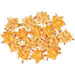 Blue Hills Studio Irene's Garden Box O'Gardenia: Marmalade, 16 Pieces 