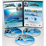 Wyland Art Studio DVD: 13 Episodes, Series 2 (6.5 Hour)