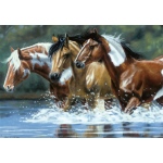 Reeves Artist Collection Painting by Numbers Advanced Range: Medium, 9" x 12", Heading Upstream