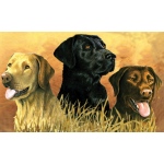 Reeves Artist Collection Painting by Numbers Advanced Range: Medium, 9" x 12", Labs in Marsh