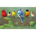 Reeves Artist Collection Painting by Numbers Advanced Range: Medium, 9" x 12", Rail Birds