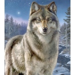 Reeves Artist Collection Painting by Numbers Advanced Range: Medium, 9" x 12", Night Watch