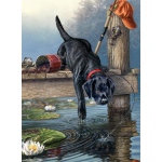 Reeves Artist Collection Painting by Numbers Advanced Range: Medium, 9" x 12", Ripples