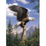 Reeves Artist Collection Painting by Numbers Advanced Range: Medium, 9" x 12", Screaming Eagle