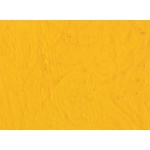 Williamsburg Handmade Oil Color Paint: Cadmium Yellow Deep, 37ml Tube