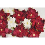 Blue Hills Studio Irene's Garden Box O'Gardenias: Burgundy & White, 20 Pieces