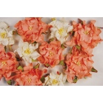 Blue Hills Studio Irene's Garden Box O'Gardenia: Peach & White, 20 Pieces