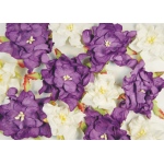 Blue Hills Studio Irene's Garden Box O'Gardenia: Dark Purple & White, 20 Pieces