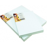 Winsor & Newton 11" x 14" Universal Stretched Cotton Canvas Twinpack