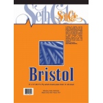 Seth Cole Bristol Board: 11" x 14", Smooth,12-Sheet
