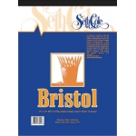 Seth Cole Bristol Board: 14" x 17", Vellum, 12-Sheet